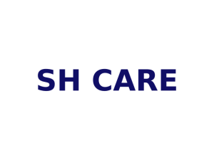 SH Care: logo en color #100E66