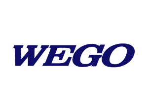 WEGO: logo en color #100E66