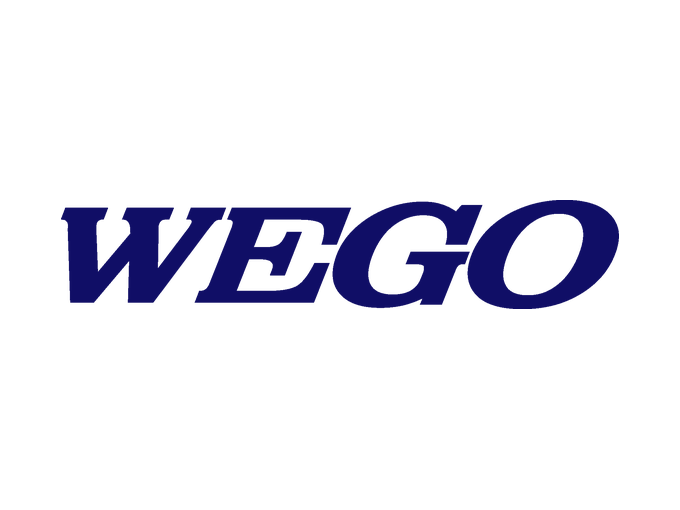 WEGO: logo en color #100E66